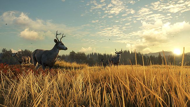 theHunter: Call of the Wild - TruRACS