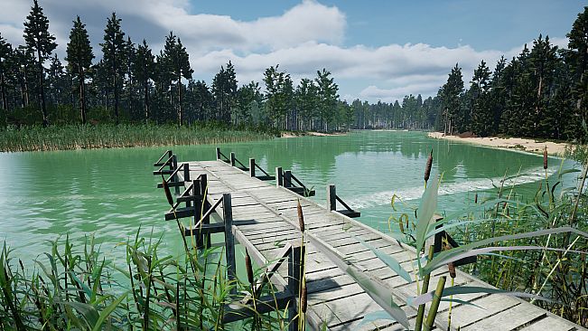 Tales From The Cache