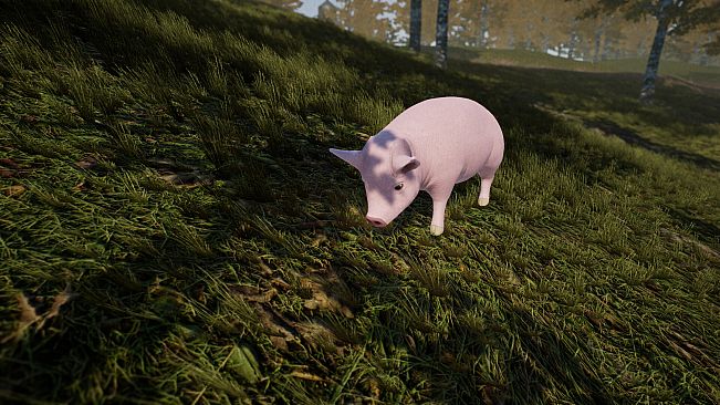 Turbo Chicken Simulator