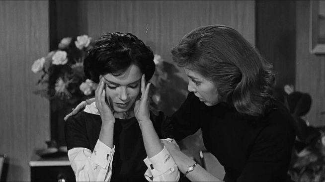 ROUGH KUTS: The Wasp Woman