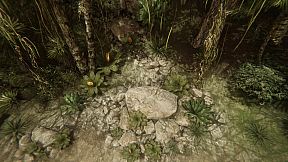 Natural Elements Online