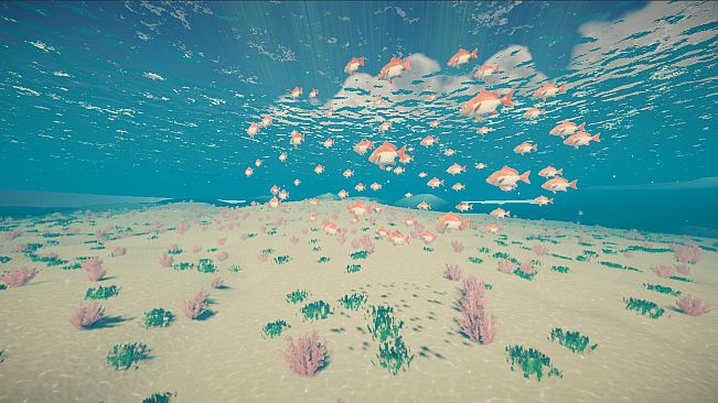 My Little Ocean