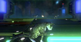 Neon Cyborg Cat Club