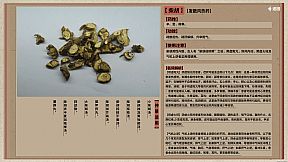 中医模拟传承人