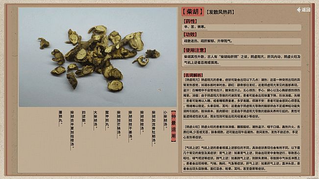 中医模拟传承人