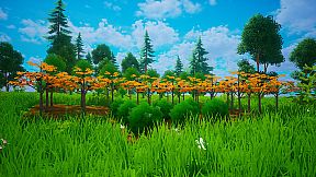 My Money Grows On Trees