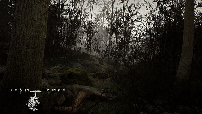 ItLivesInTheWoods