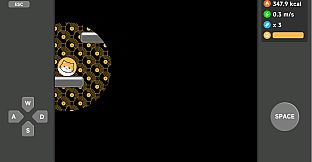 Meow Weight Loss Diary