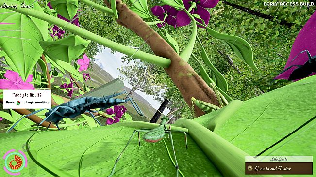 Nature And Life - Drunk On Nectar