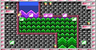 The Year of the Carrot