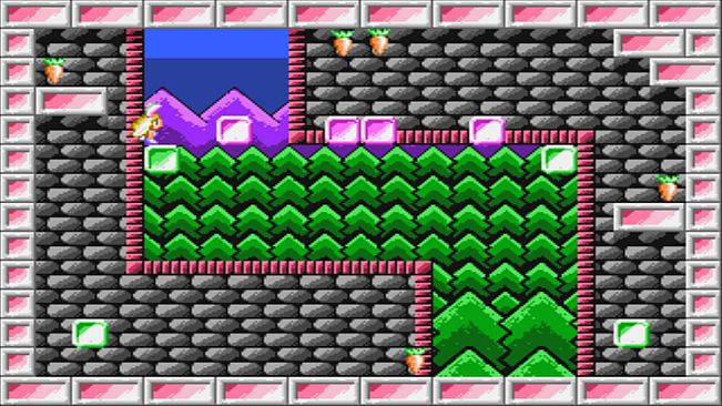 The Year of the Carrot