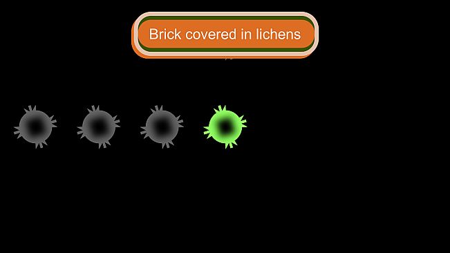 BLIND QUEST - The Ivy Queen