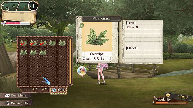 Atelier Meruru ~The Apprentice of Arland~ DX