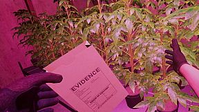 Split Second VR Tactical Shooter