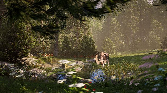 Next Hunting Adventure