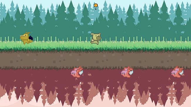 ANIMALITY - Pig Colour Pigments