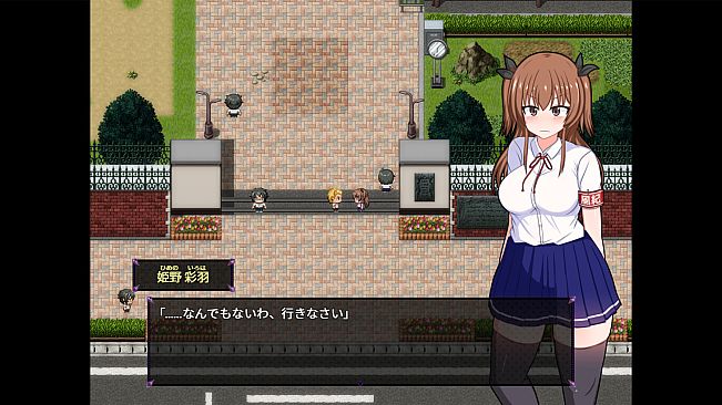 Do Disciplinary Committee Members Dream of Succubi?