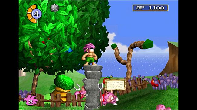 Tomba! Special Edition