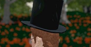 Hide and Seek - Top Hat