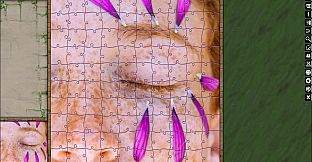 Jigsaw Puzzle Pack - Pixel Puzzles Ultimate: Variety Pack 15