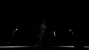 The Upper Downer Complex