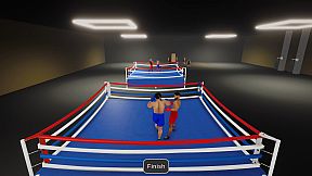 Boxing Simulator