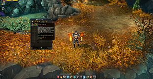 Royal Quest Online - Packmaster