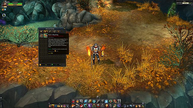 Royal Quest Online - Packmaster