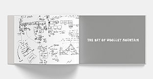 The Mystery Of Woolley Mountain  - Art Book