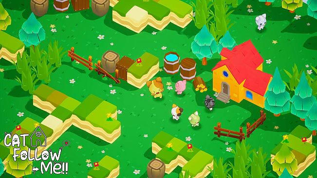 Cat Follow Me