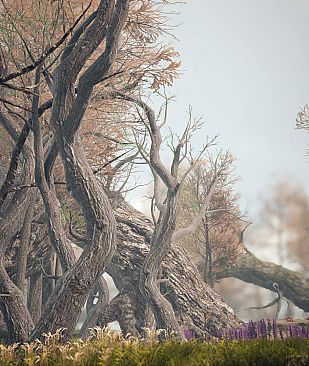 INFEROS NUMINE : descent into darkness