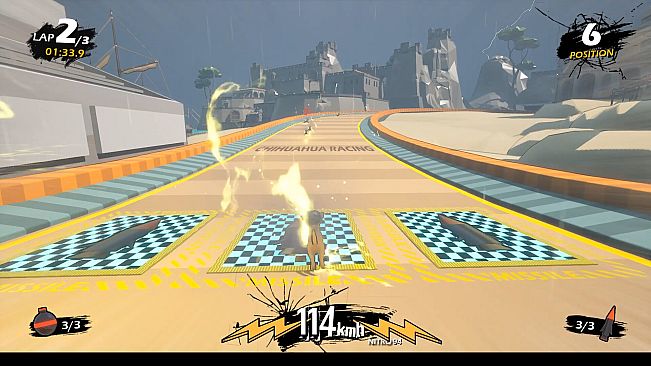 Chihuahua Racing