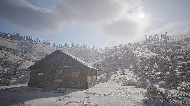 PROJECT HUNT - MANCHURIAN TAIGA