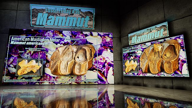 SHADOWBOX: Mausoleum of Natural History