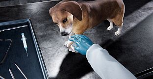 Veterinary Clinic Simulator