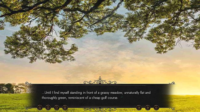 The Butterfly Dreams