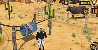 Bull Riding Challenge 4