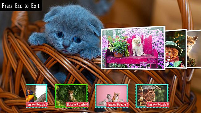 Jigsaw Puzzles for Kids and Adults - Cute