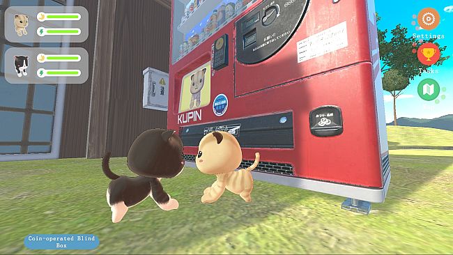 Whiskers on Time's Corner