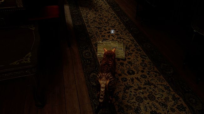 Meowmories -meowmare adventure-