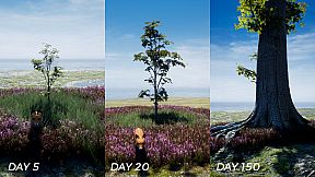 PLAYNE : The Meditation Game