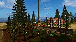 Countryside Life Simulator