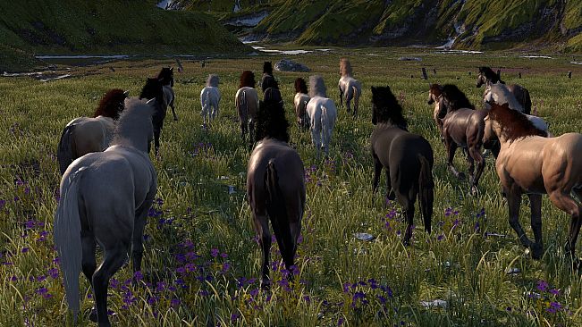 HORSE LIFE: find horses in open world, survive in wild nature as a foal or pony