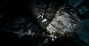 Vision Quest: A New Ascent