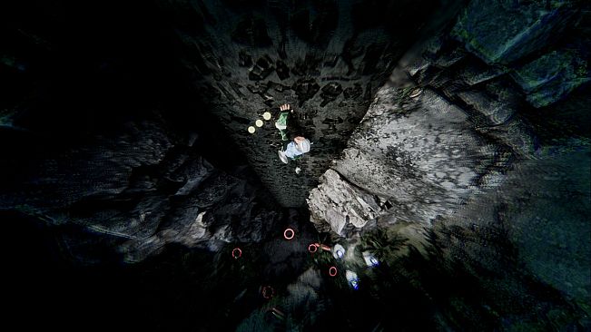 Vision Quest: A New Ascent