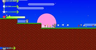 Catto Boi Collection