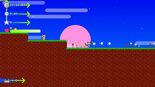 Catto Boi Collection