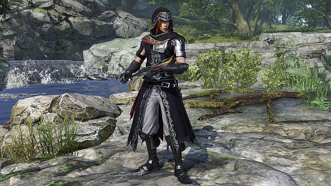 WARRIORS OROCHI 4/無双OROCHI３ - Special Costumes Pack