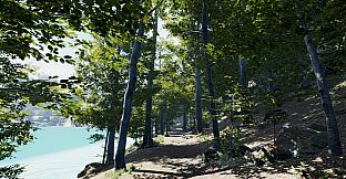 Secrets of a Campfire