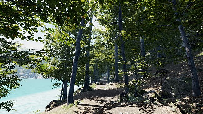 Secrets of a Campfire